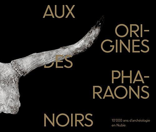 aux-origines-des-pharaons-noirs-10-000-ans-d-archeologie-en-nubie_0