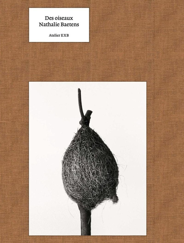 baetens-nathalie-des-oiseaux_0