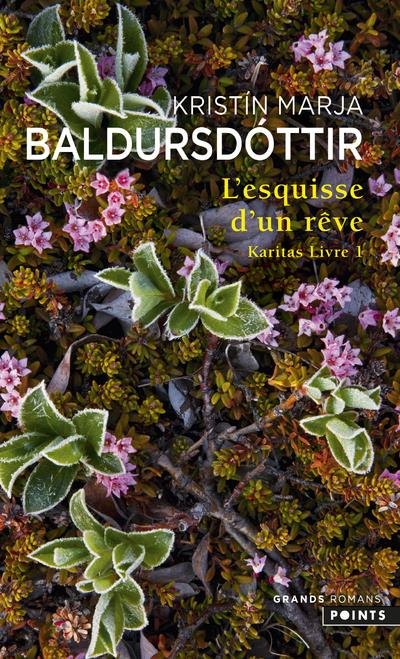 baldursdottir-kristin-marja-3b-albansson-henry-kilj-karitas-tome-1-l-esquisse-d-un-reve_0