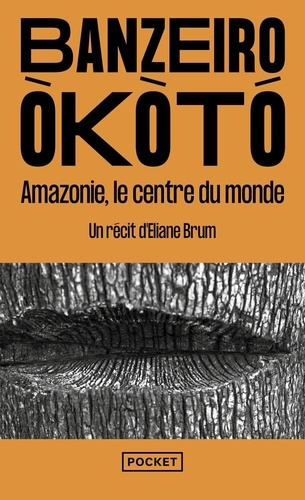 banzeiro-okoto-l-amazonie-le-centre-du-monde_0