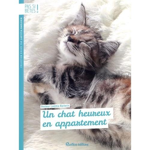 barlerin-laetitia-un-chat-heureux-en-appartement_0