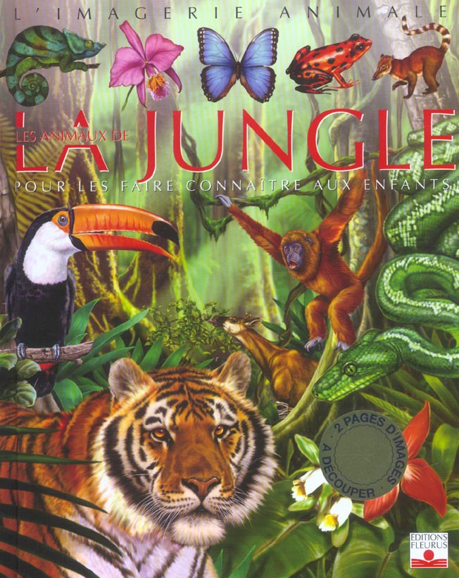beaumont-emilie-3b-chauvelot-raphaelle-3b-tempesta-f-les-animaux-de-la-jungle-pour-les-faire-connaitre-aux-enfants_0