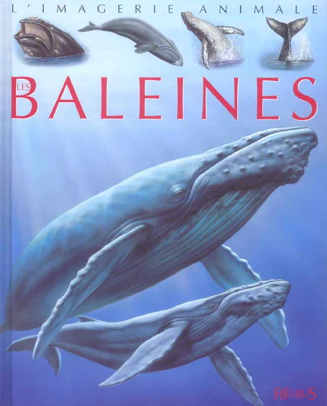 beaumont-emilie-vandewiele-agnes-les-baleines_0