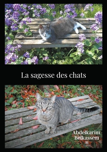 belkassem-abdelkarim-la-sagesse-des-chats_0