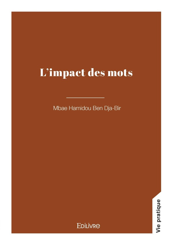 ben-dja-bir-mbae-hamidou-l-impact-des-mots_0