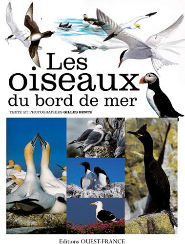 bentz-gilles-les-oiseaux-du-bord-de-mer_0