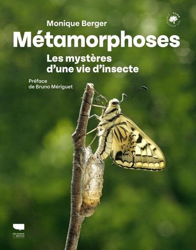 berger-monique-3b-meriguet-bruno-metamorphoses-les-mysteres-d-une-vie-d-insecte_0