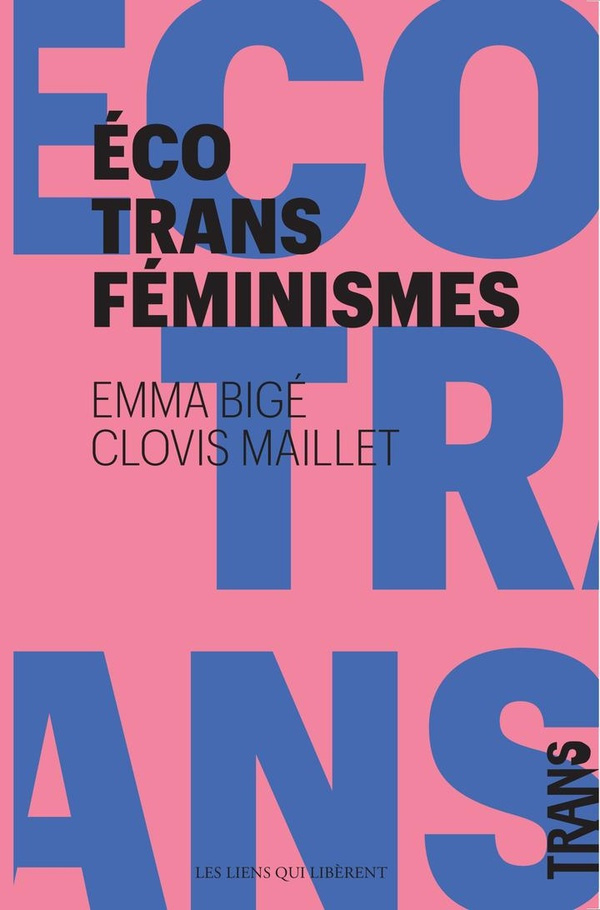 bige-emma-3b-maillet-clovis-la-poule-la-hyene-la-sorciere-et-nous-pour-des-ecologies-transfeministes_0