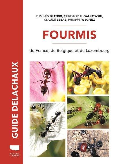 blatrix-rumsais-3b-galkowski-christophe-3b-lebas-cla-fourmis-de-france-de-belgique-et-du-luxembourg_0