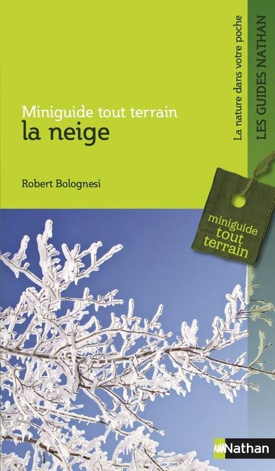 bolognesi-robert-la-neige_0
