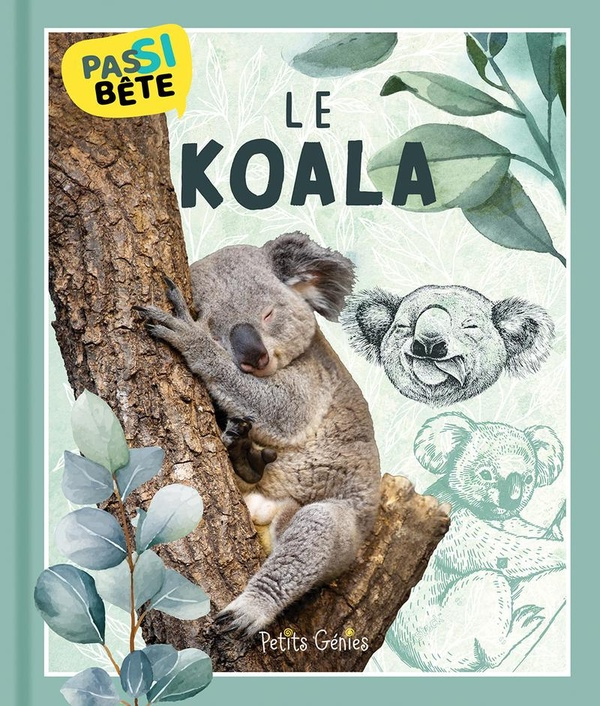 bonin-pierre-alexandre-le-koala_0