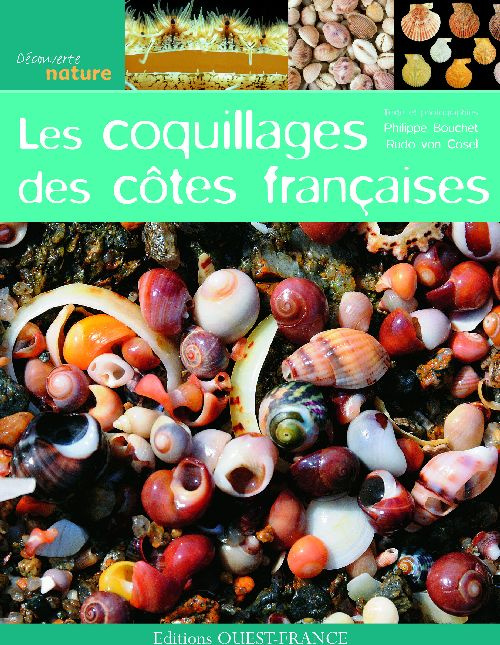 bouchet-philippe-3b-cosel-rudo-von-les-coquillages-des-cotes-francaises_0
