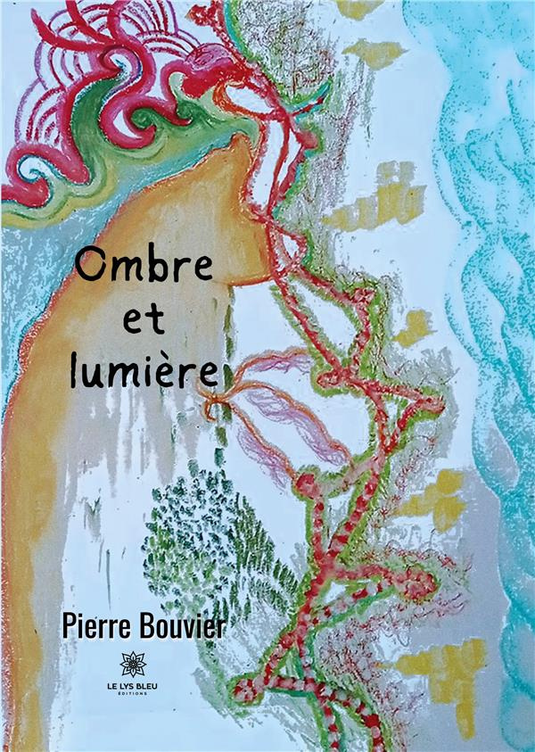 bouvier-pierre-ombre-et-lumiere_0