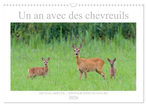 breuer-michael-un-an-avec-des-chevreuils-calendrier-mural-2026-din-a3-vertical-calvendo-calendrier-mensuel-phot_0