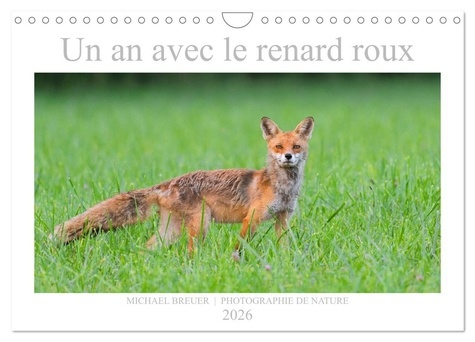 breuer-michael-un-an-avec-le-renard-roux-calendrier-mural-2026-din-a4-vertical-calvendo-calendrier-mensuel-anim_0