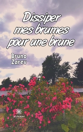 bruno-zarev-dissiper-mes-brumes-pour-une-brune_0