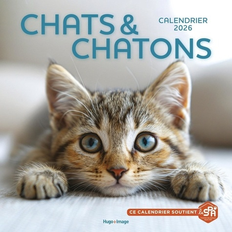 calendrier-mural-chats-et-chatons-2026_0