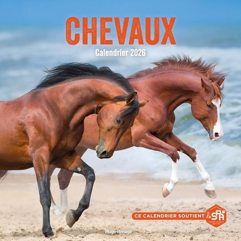 calendrier-mural-chevaux-2026_0
