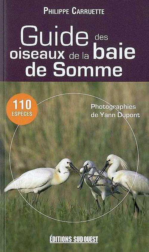 caruette-philippe-guide-des-oiseaux-de-la-baie-de-somme_0