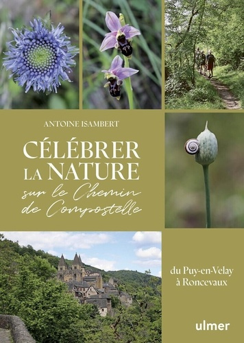 celebrer-la-nature-sur-le-chemin-de-compostelle-explorations-botaniques-du-puy-en-velay-a-roncevau_0