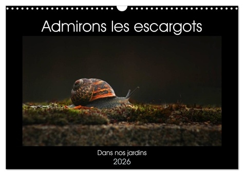 christina-ladan-admirons-escargots-calendrier-mural-2026-dans-nos-jardins_0
