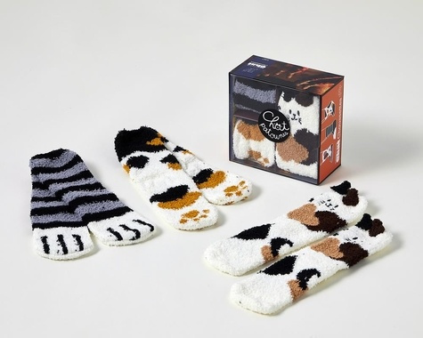 coffret-les-gouters-de-la-famille-chat-chaussettes-3e-ed_0