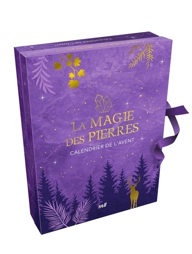 collectif-calendrier-de-l-avent-la-magie-des-pierres-22-pierres-naturelles-et-des-cadeaux-surprises-pour-at_0