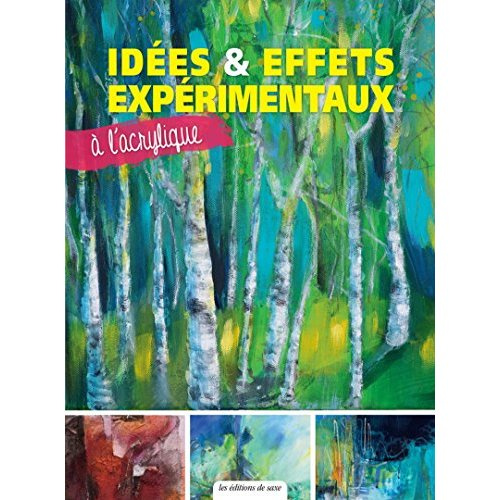 collectif-idees-et-effets-experimentaux-a-l-acrylique_0