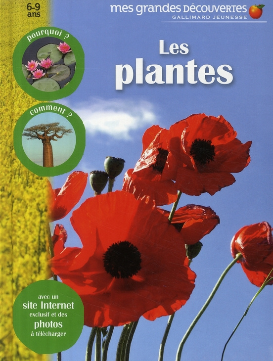 collectif-les-plantes_0