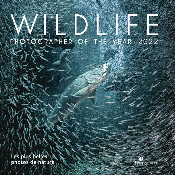 collectif-wildlife-photographer-of-the-year-2022_0