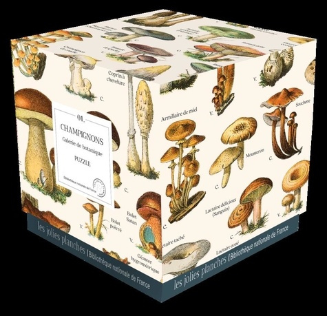 collectifs-les-jolie-puzzle-champignons-1000-pieces_0