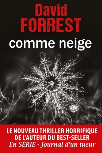 comme-neige_0
