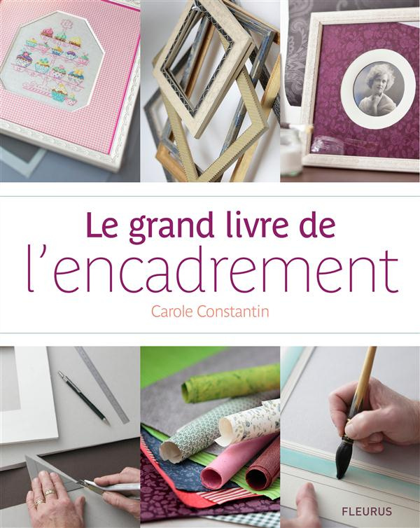 constantin-carole-3b-antablian-thierry-le-grand-livre-de-l-encadrement_0
