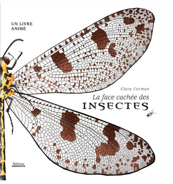 corman-clara-la-face-cachee-des-insectes-un-livre-anime_0