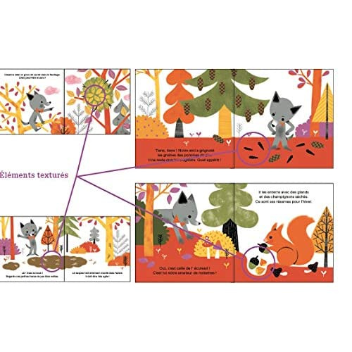 cosneau-geraldine-une-enquete-de-loulou-qui-a-grignote-toutes-ces-noisettes_0