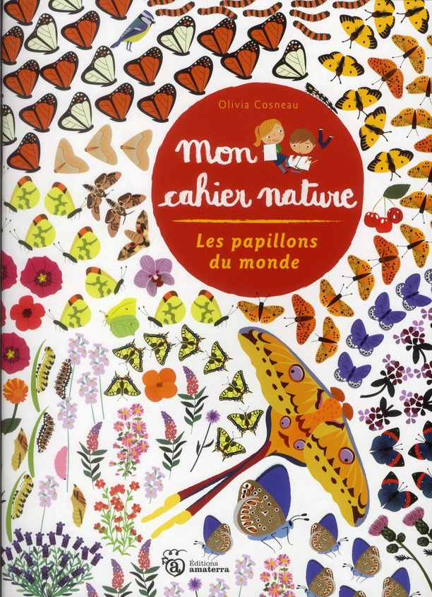 cosneau-olivia-les-papillons-du-monde_0