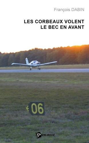 dabin-francois-les-corbeaux-volent-le-bec-en-avant_0