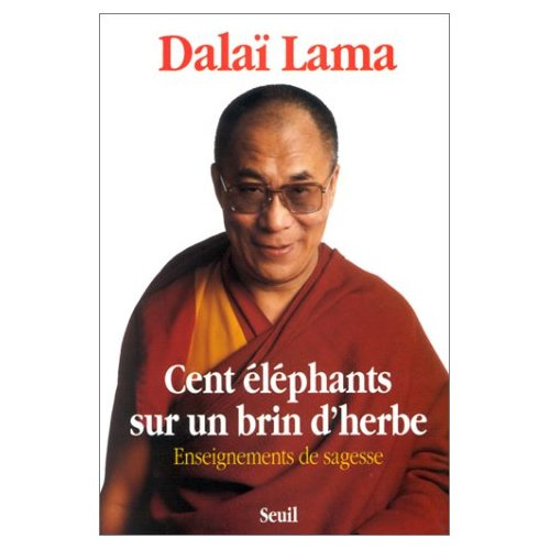 dalai-lama-cent-elephants-sur-un-brin-d-herbe-enseignement-de-sagesse_0