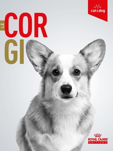 dethioux-frances-le-corgi_0
