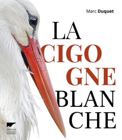 duquet-marc-la-cigogne-blanche_0