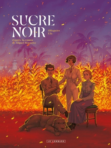 efa-sucre-noir_0