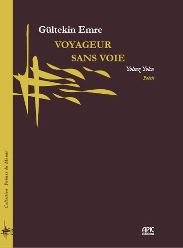 emre-gultekin-voyageur-sans-voie_0