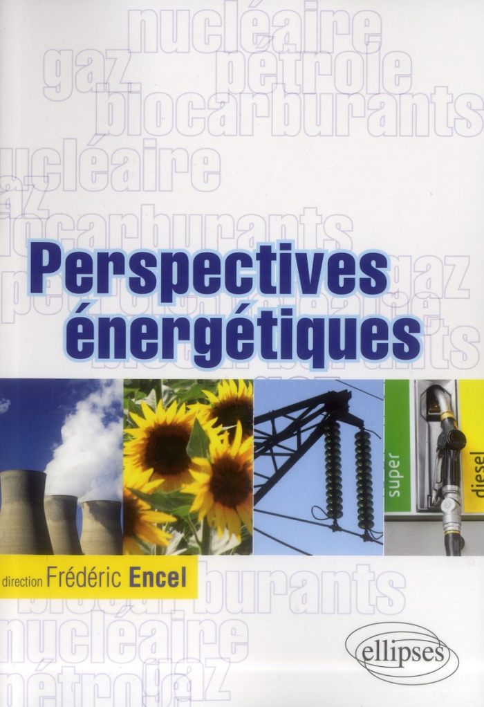 encel-frederic-perspectives-energetiques_0