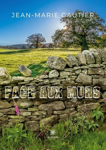 gautier-jean-marie-face-aux-murs_0