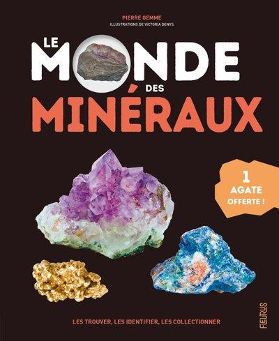gemme-pierre-3b-denys-victoria-le-monde-des-mineraux-les-trouver-les-identifier-les-collectionner-avec-1-agate-offerte-l_0
