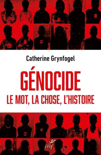 genocide-la-chose-le-mot-l-histoire-pour-en-finir-avec-les-faux-emplois_0