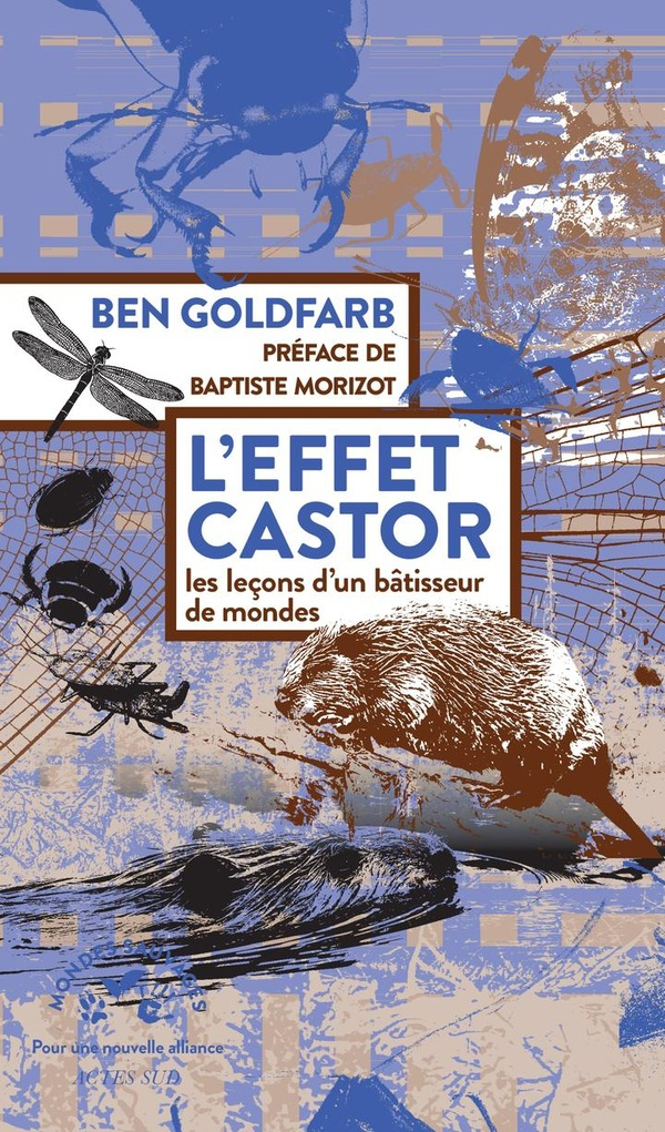 goldfarb-ben-batisseurs-de-mondes-le-genie-des-castors-face-au-defi-climatique_0