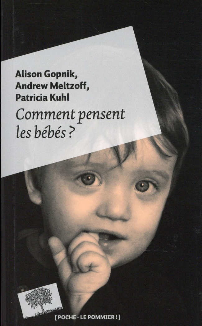 gopnik-alison-3b-meltzoff-andrew-3b-kuhl-patricia-3b-comment-pensent-les-bebes_0