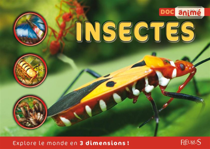 green-jen-3b-valmachino-giulia-3b-chareyre-christine-insectes_0