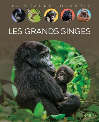 grundmann-emmanuelle-les-grands-singes_0